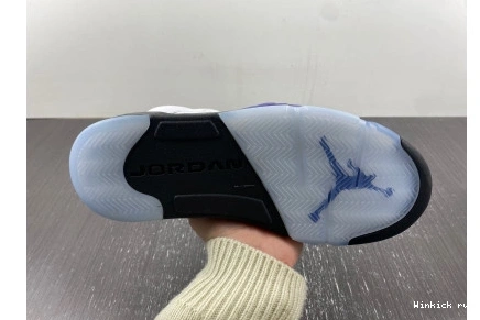 Retro Dark 5 Concord Jordan 0802